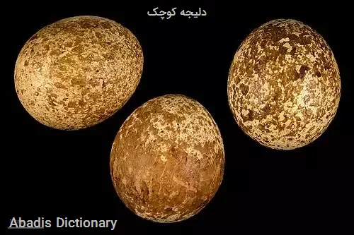 دلیجه کوچک